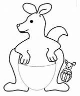 Kangaroo Images Coloring Page sketch template