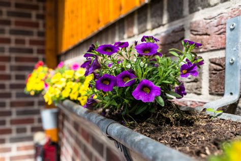 How to build a gorgeous DIY gutter garden | HappySprout