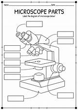 Mobile/labeled Compound Microscope Parts Sketch Coloring Page sketch template