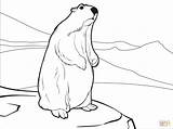 Groundhog coloring Page  Free Printable Coloring Pages sketch template