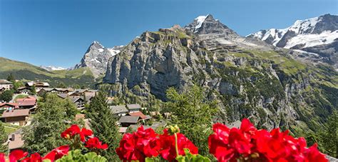 Swiss Alps Travel Guide Resources by Rick Steves