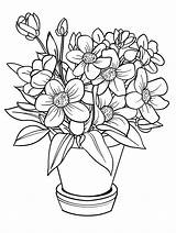 25 Beautiful Flower Coloring Pages  Brighter Craft sketch template