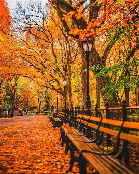 Central Park Fall