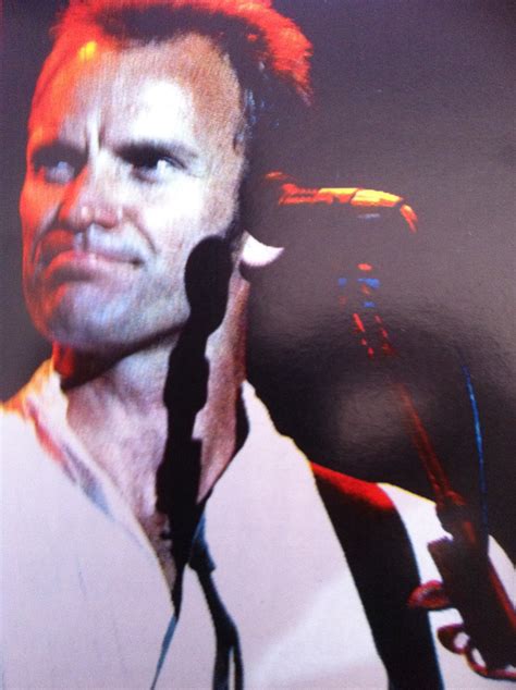 Sting Shape Of My Heart Wiki | 6k pics