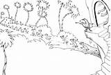 Truffula Coloring Tree Getdrawings Sketch Page sketch template