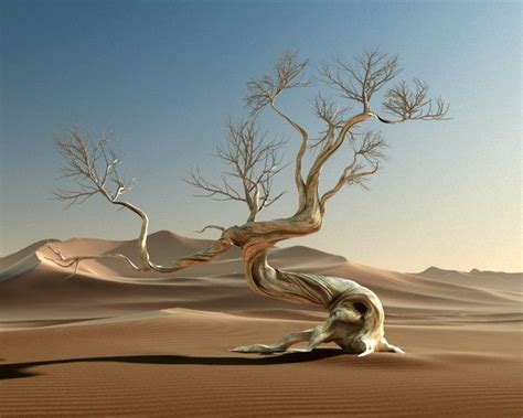 Desert trees, Desert drawing, Tree art