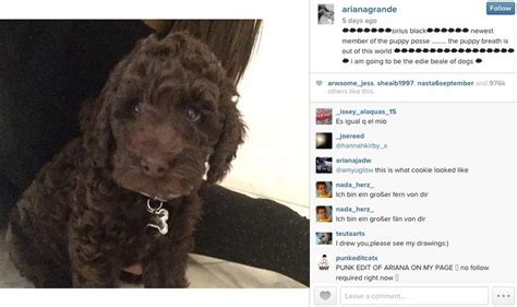 Ariana Grande Adds Dog Number 6 To Her 'Puppy Posse'