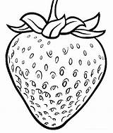 Strawberry Vine Coloring Page Pages sketch template
