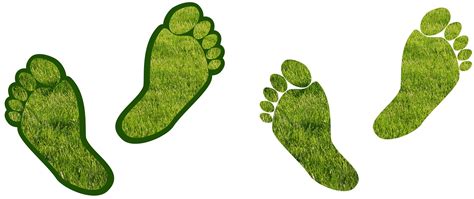 Download free photo of Assistance,barefoot,carbon,carbon footprint,environment - from needpix.com