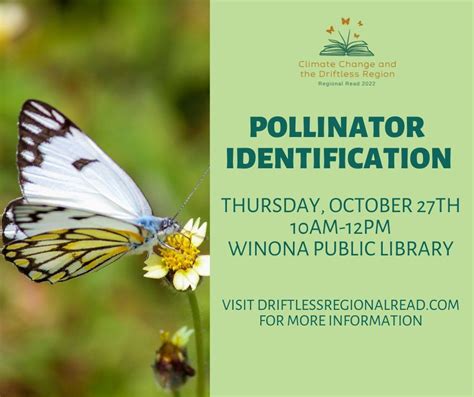 Pollinator Identification, Winona Public Library, October 27 2022 | AllEvents.in