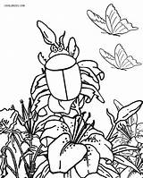 Bugs Coloring Pages Preschool  Worksheet24 sketch template