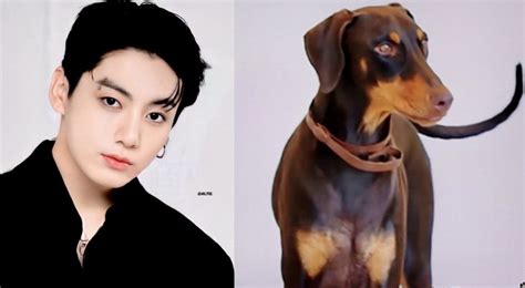 BTS’s Jungkook praised highly for not altering his pet Doberman’s ears ...