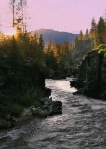 Creek Form Http://headlikeanorange.tumblr.com/ GIF - Creek River Water - Discover & Share GIFs