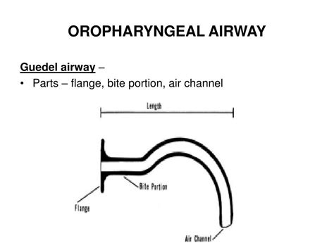 PPT - AIRWAY MANAGEMENT – establishing, maintaining & removing ...