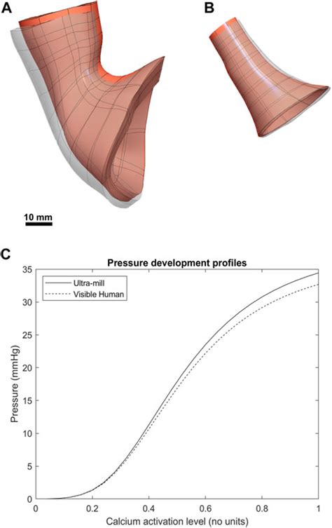 Frontiers | Reconstruction of the human lower esophageal sphincter based on ultra-mill imaging ...