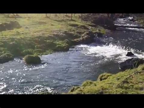 Muzica, relaxare, blând, natura, meditație - YouTube