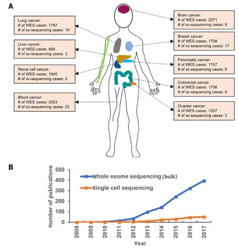 Application of whole exome sequencing (WES) and single-cell sequencing ...