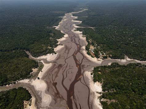 Thinning Rivers Could Disrupt Amazonian Grain Exports