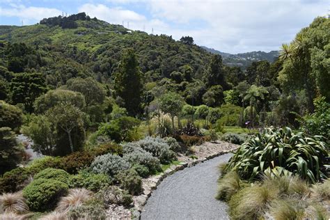 Wellington Botanic Garden, Otari-Wilton’s Bush Native Botanic Garden ...