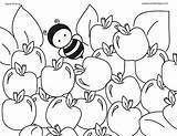 Apple Picking Coloring Pages sketch template