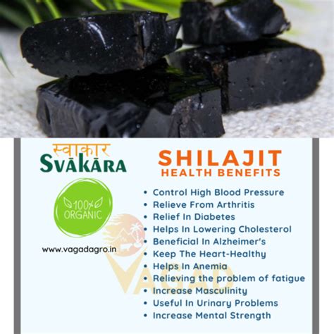 What is Shilajit?, 13 Health Benefits of Shilajit