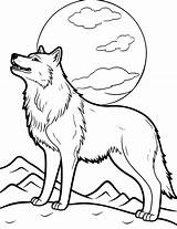 50 Wolf Coloring Pages Free Printable Sheets  Colors Shark sketch template