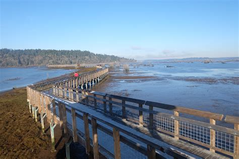 From Student Blogger Nita: Nisqually Wildlife Refuge Hiking Trip!