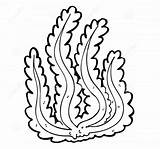 12 Seaweed Coloring Pages  Coral Reef drawing Easy sketch template