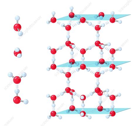 Structure of water, molecular model - Stock Image - C018/0231 - Science ...