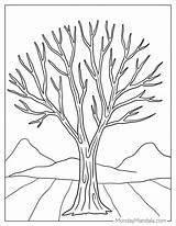 38 Tree Coloring Pages Free PDF Printables sketch template
