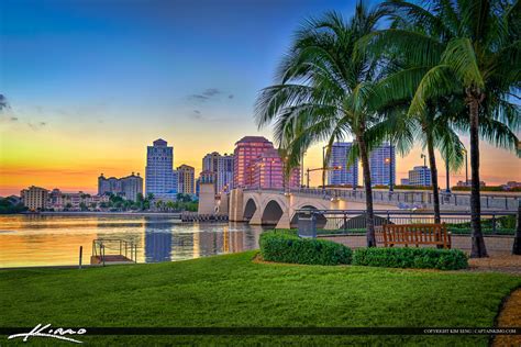 West Palm Beach Skyline Coconut Tree