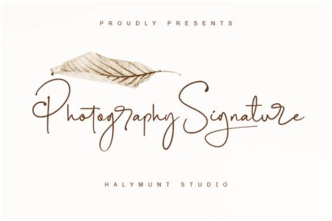 Photography Signature Font | dafont.com