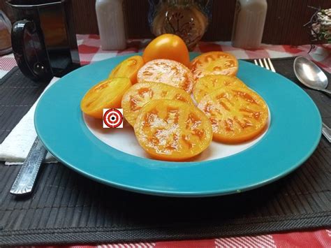 Orange Tomatoes Dwarf Coastal Pride Orange Tomato Seeds Available Here. - Bounty Hunter Seeds ...