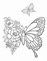 Butterfly Printable Coloring Sheet Pages Kids  Etsy Australia sketch template