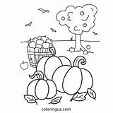Fall Coloring Pages Free Printable PDF sketch template