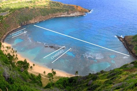 Hanauma Bay: A World-Renowned Snorkeling Destination – DesertDivers