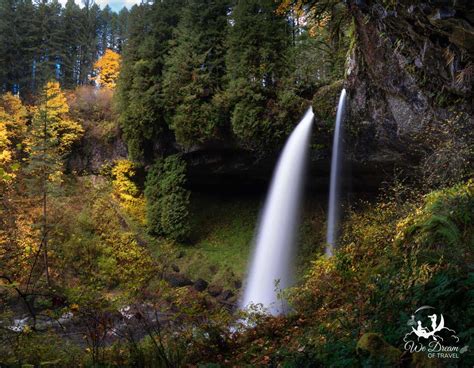 2024 Guide to North Falls, Oregon in Silver Falls State Park ⋆ We Dream of Travel Blog