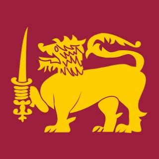 Sri Lankan Travel Blog: The Lion Flag