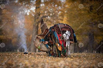 Mongolian Shaman Performing a Ritual Stock Photo - Image of ornament, performance: 161884682