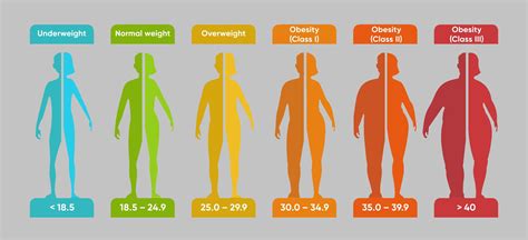 BMI Calculator | Calculate Your Health