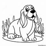Basset Hound Coloring Page  Pagescom sketch template
