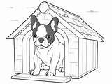 Boston Terrier Coloring Page For Download  sketch template