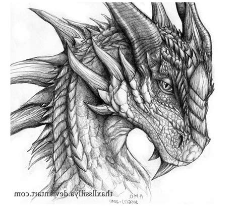 Dragon sketch | Realistic dragon, Dragon head drawing, Realistic dragon drawing