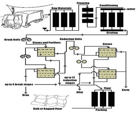 Flour Milling Process | NZFMA