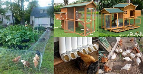 50 Beautiful DIY Chicken Coop Ideas You Can Actually Build - Engineering Discoveries