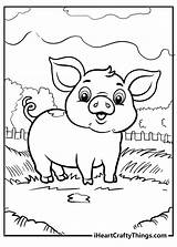 Cute Pig Coloring Pages Sketch Page sketch template