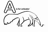 30  Anteater Coloring Pages Free Printable PDF JPG PNG & Online sketch template