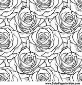 Flower Pattern Coloring Pages At GetDrawings  Free Download sketch template