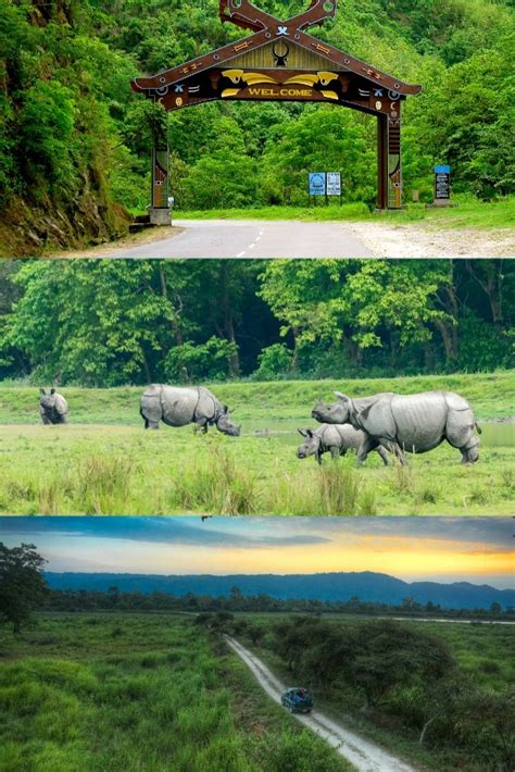 √ National Parks And Wildlife Sanctuaries In Assam