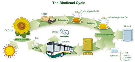 European experts appeal for prohibition of the biodiesel use in cars and trucks in Europe